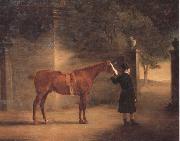 John Ferneley Mr Wombell's Hunter with a Groom in a Courtyard oil painting on canvas